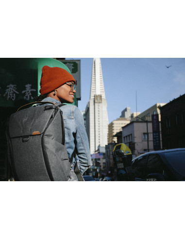 Everyday Backpack 20L v2