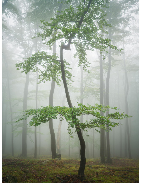 Objetivo Hasselblad XCD 3,2-4,5/20-35E