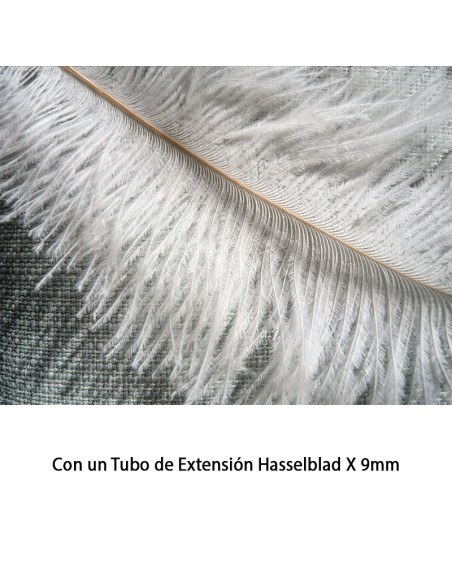 Tubo de Extensión Hasselblad X (9mm)