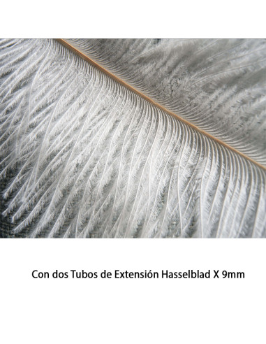 Tubo de Extensión Hasselblad X (9mm)