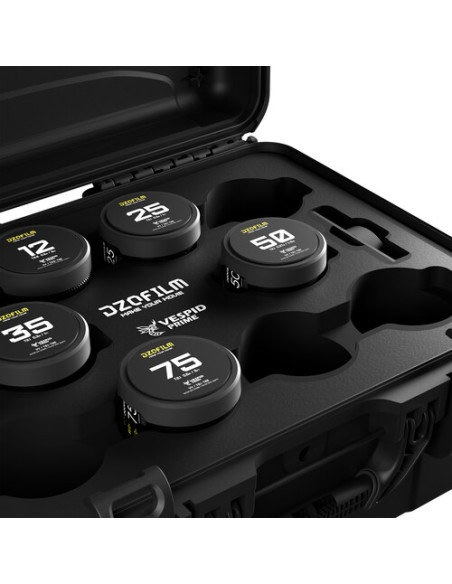 DZOFilm VESPID Maleta 5: 12/25/35/50/75mm (Arri PL & Canon EF)