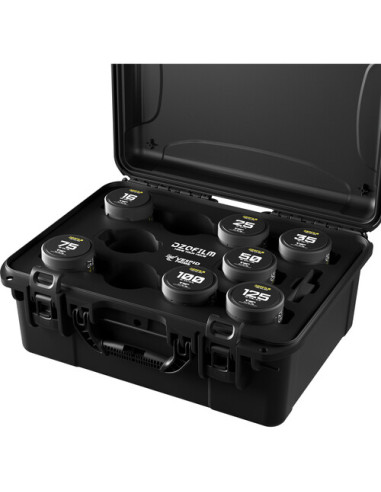 DZOFilm VESPID Maleta 7:...