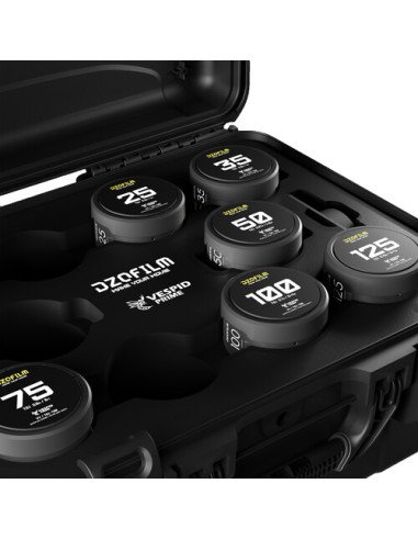 DZOFilm VESPID Maleta 7:...