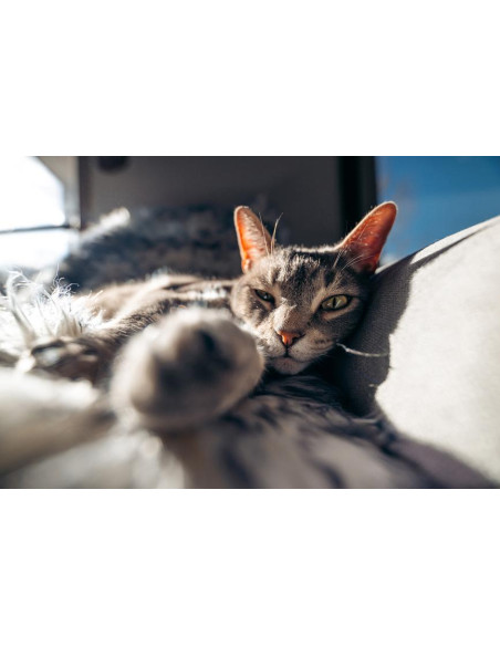 Tamron 16-30mm F/2.8 Di III VXD G2 Nikon Z