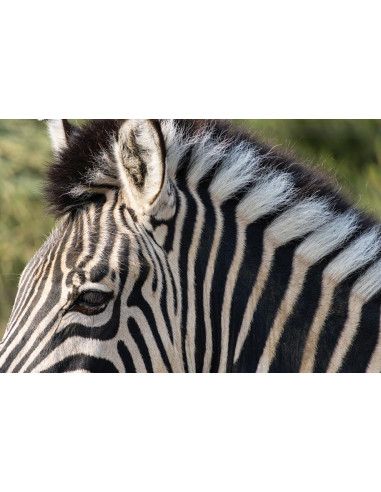 Tamron 18-300mm F/3.5-6.3 Di III-A VC VXD APS-C...