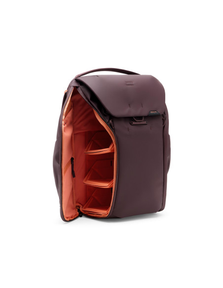 Everyday Backpack 20L v2