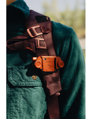 Everyday Backpack 20L v2