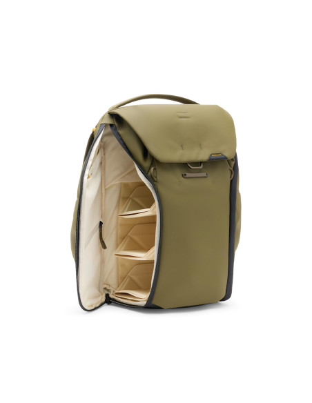 Everyday Backpack 20L v2