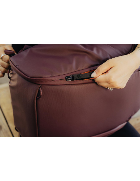 Everyday Backpack 20L Zip v2