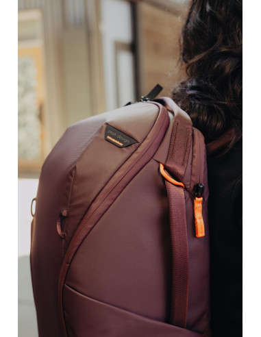 Everyday Backpack 20L Zip v2