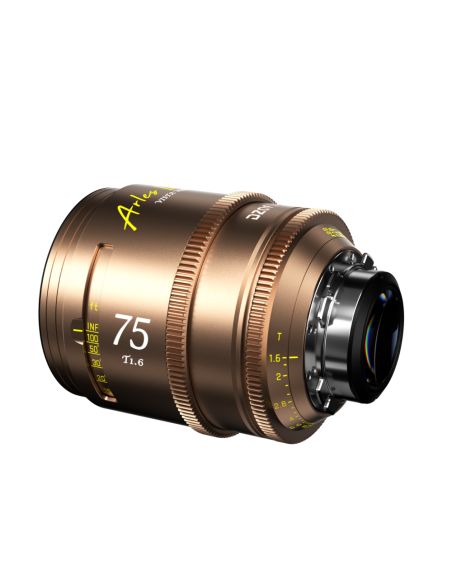Objetivo DZOFILM Arles Lustre 75mm Montura PL