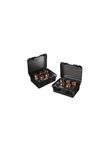 Kit de 10 objetivos DZOFILM Arles Lustre |  14/21/25/35/40/50/75/100/135/180mm | Montura PL