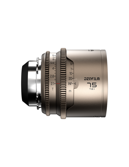 Objetivo DZOFILM Arcana | 75mm T2.1 | Full frame 1.5X Hybrid Anamorphic Prime Lens | Montura PL