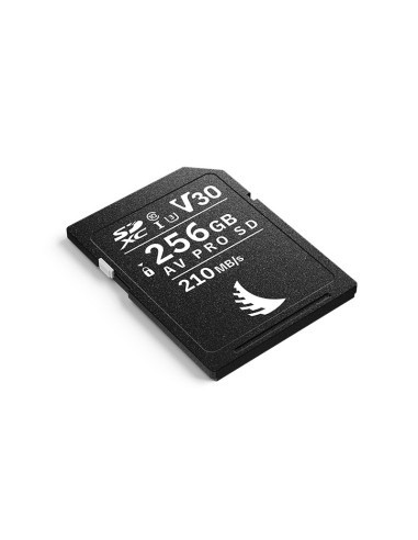 Angelbird AV PRO SD V30 128GB / 256GB – Tarjeta...