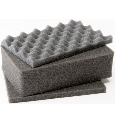 Maleta Pelicase 1120
