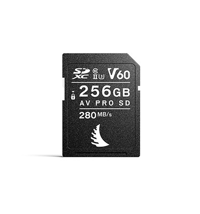 ANGELBIRD AV PRO SD 256GB V60