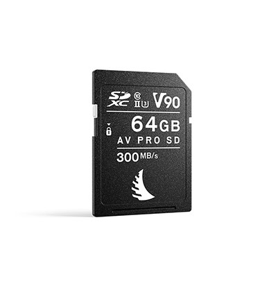 ANGELBIRD AV PRO SD 64GB V60