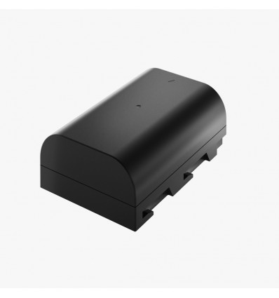 CARGADOR DOBLE + 2 BATERÍAS  DMW-BLF19E