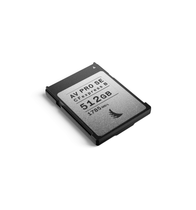 AV PRO CFexpress SE Type B (512 GB)