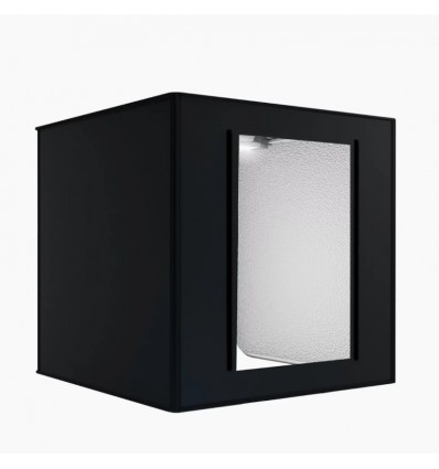 Newell M80 Caja de luz