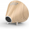 NASA - Weather Station - Speaker BT Ship WSP 1100 Wood