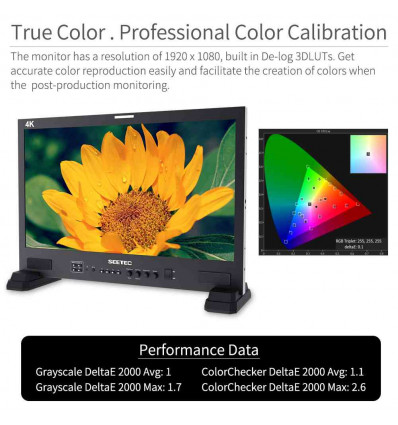 MONITOR SEETEC LUT 215