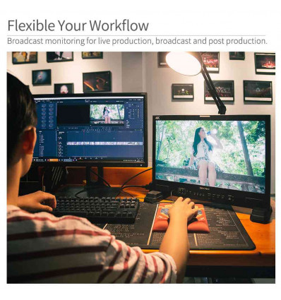 MONITOR SEETEC LUT 215