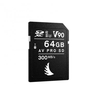 ANGELBIRD MATCH PACK PARA ALPHA 7/9