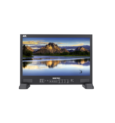 MONITOR SEETEC FS215-S4K CON MALETA