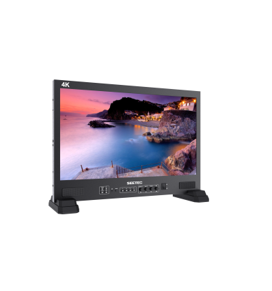 MONITOR SEETEC FS215-S4K CON MALETA