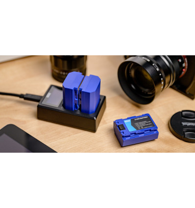 Newell Cargador doble DL-USB para DMW-BLK22