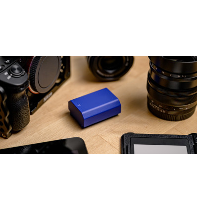 Newell Cargador doble DL-USB para DMW-BLK22