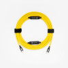 CobraTether Cable recto USB-C C to C (10m)