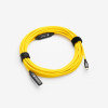 Cobra Tether Alargador USB-C C to C Hembra (10m)