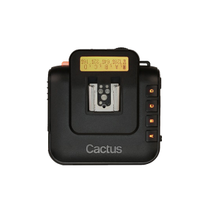 Cactus V6 Cactus V6