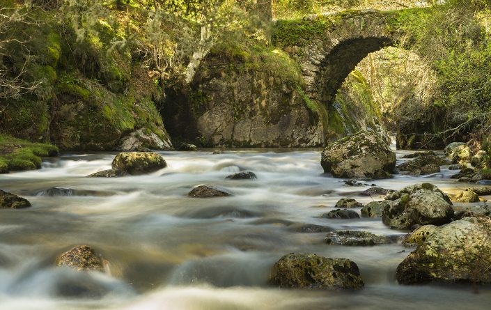 Puente_de_la_Angostura_JSM5581baja