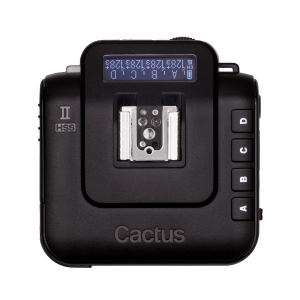 PNG_Cactus V6 II