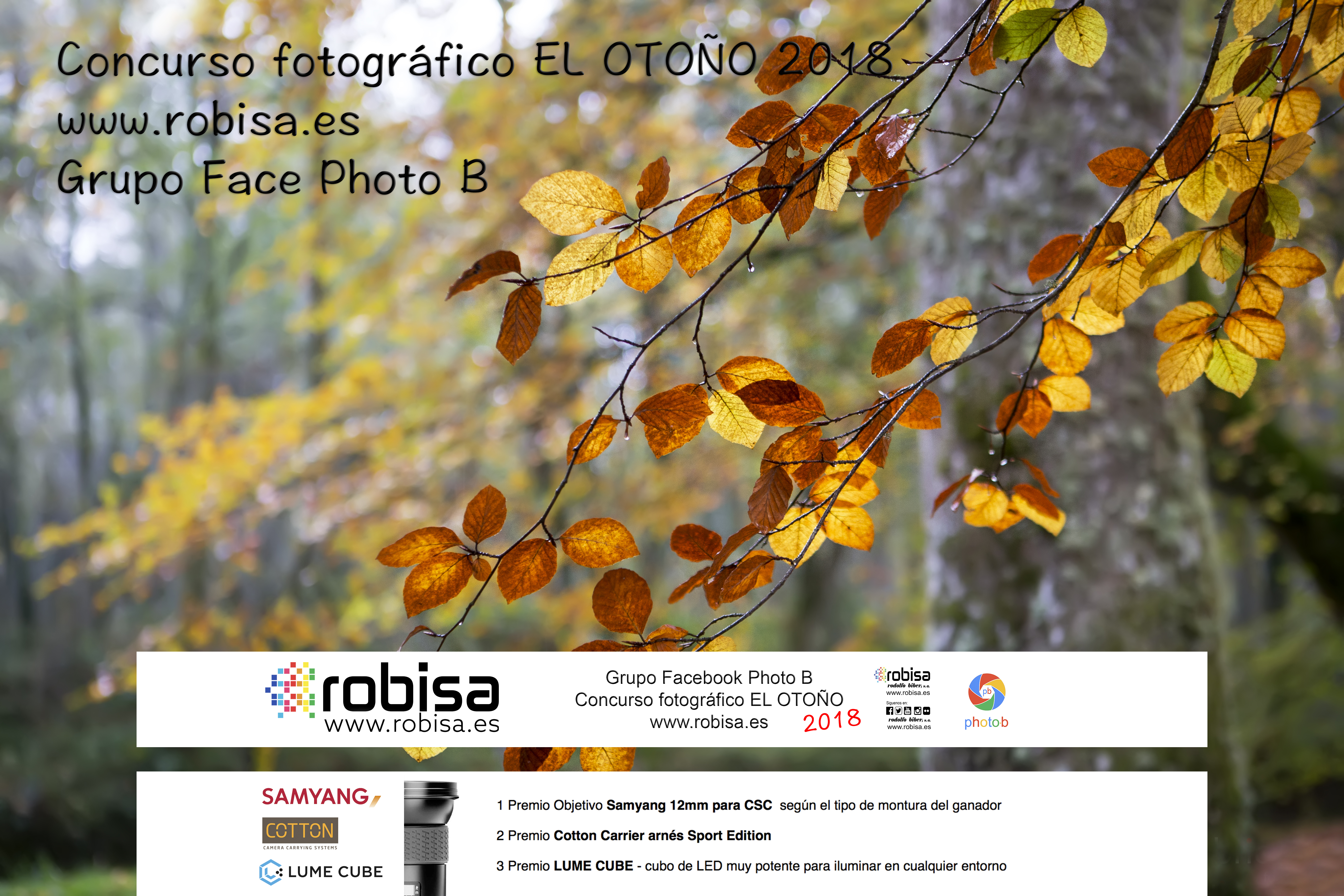 otoño Photo B