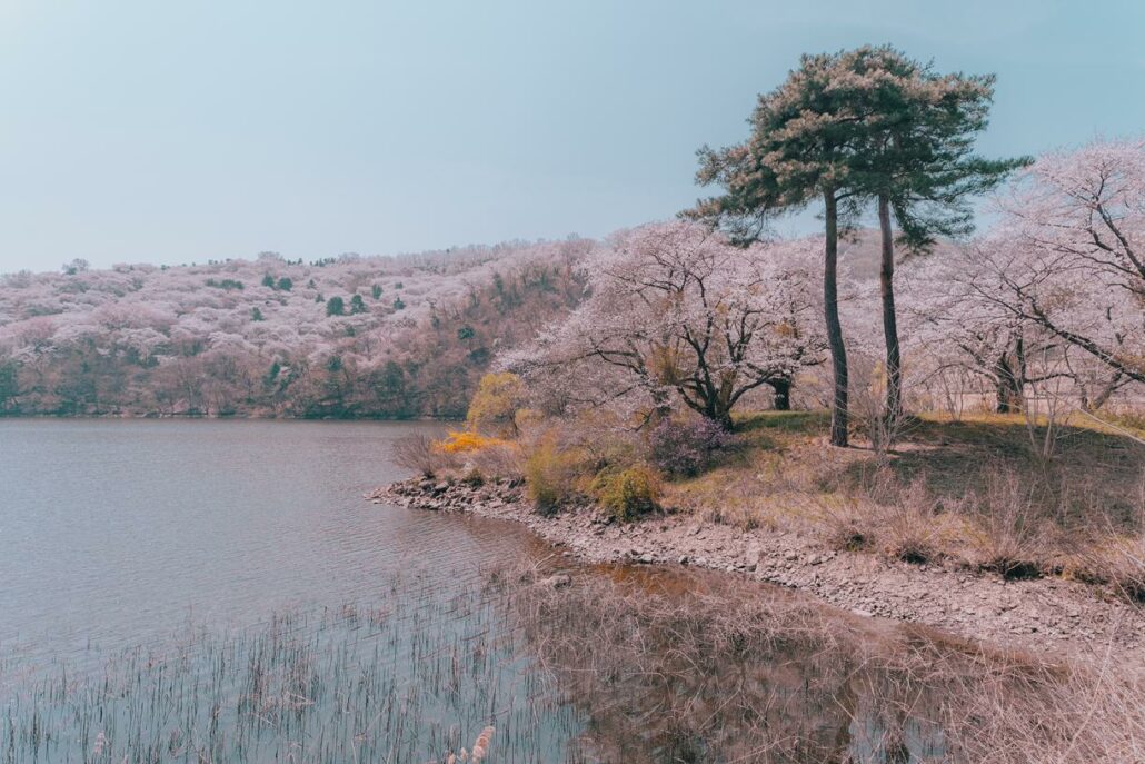 AF 14-24mm F2.8 FE_Sample Image_Sanghoon.B (@carpediem_0218) (66)_ptt