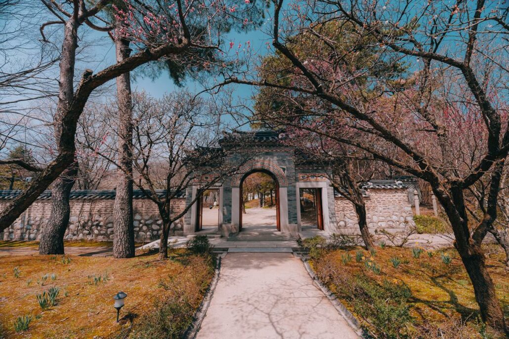 AF 14-24mm F2.8 FE_Sample Image_Sanghoon.B (@carpediem_0218) (76)_ptt