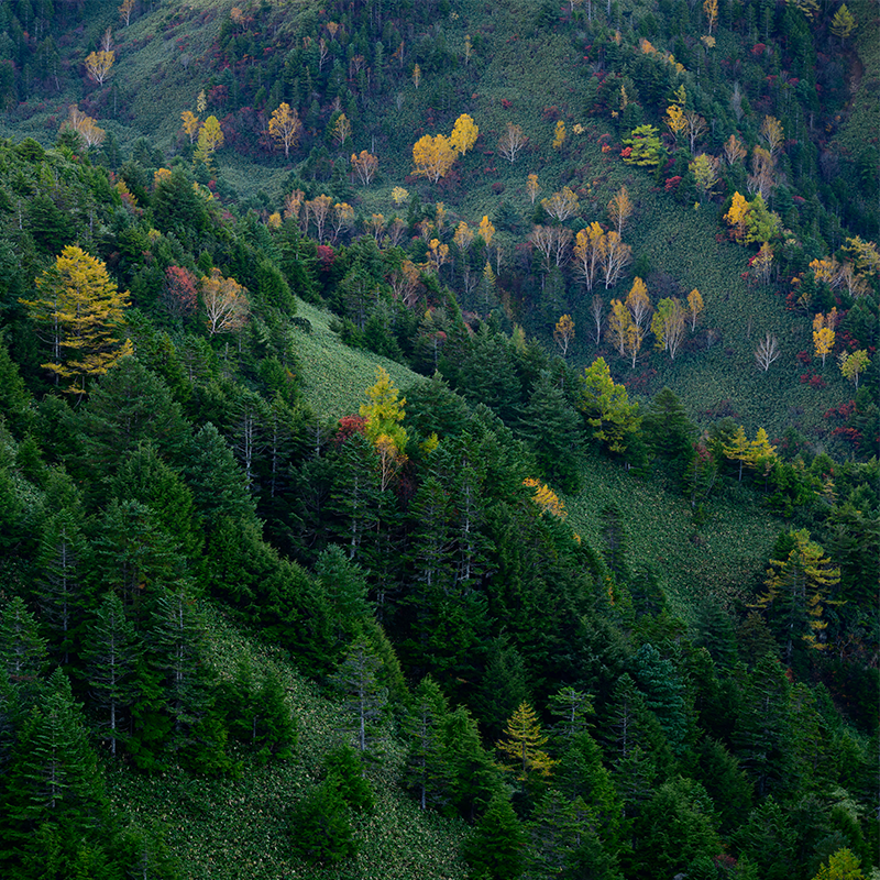 a078z-kazuya-seki-landscape7