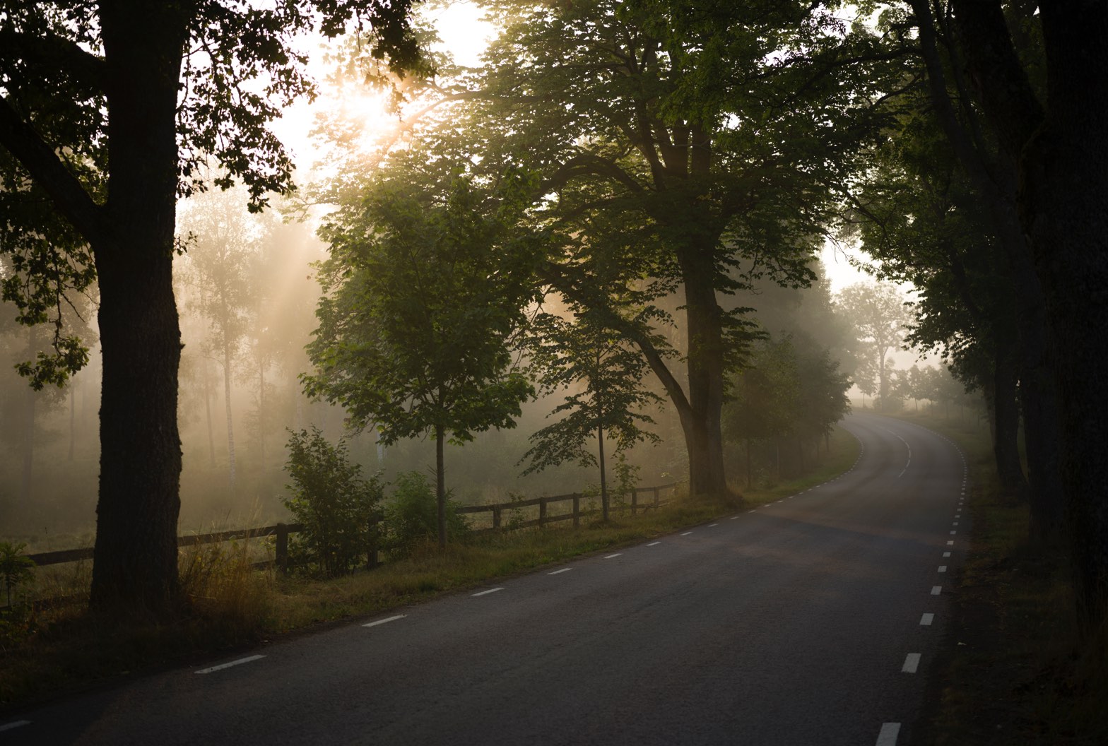 Hasselblad_blog_HNCS_Robisa_4
